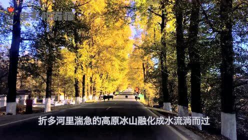 娱乐吃瓜君集美