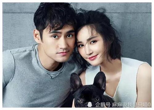 明星爆料娱乐吃瓜君