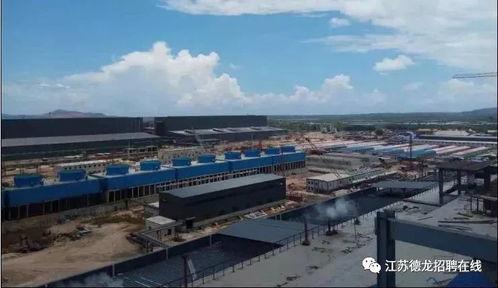 江苏德龙背景,铸就民族品牌辉煌，引领行业创新发展  第3张