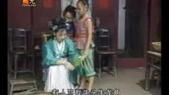 林珍奇资料,从平凡走向卓越的励志传奇  第3张